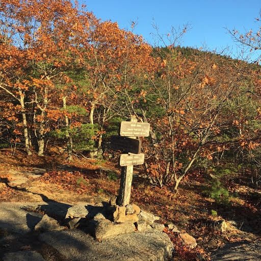 Wooden trail signposts among autumn foliage on a rocky New England hillside