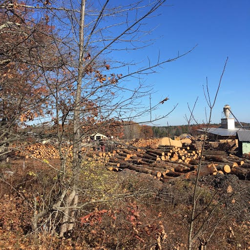 Felled logs stacked at a New England sawmill, seen through autumn trees