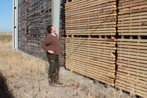 single stave oak planks drying